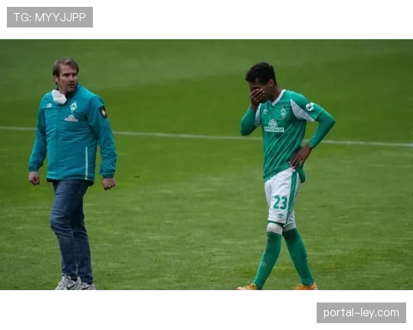 算法动态：多家德甲俱乐部启用新战术模拟软件备战收官阶段